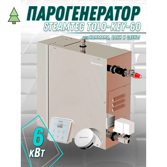 Парогенератор для хамама Steamtec TOLO KEY 60 - 6 кВт с влагостойким пультом управления