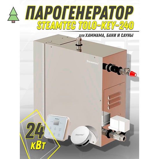 Парогенератор для хамама Steamtec TOLO KEY 240 - 24 кВт с влагостойким пультом управления