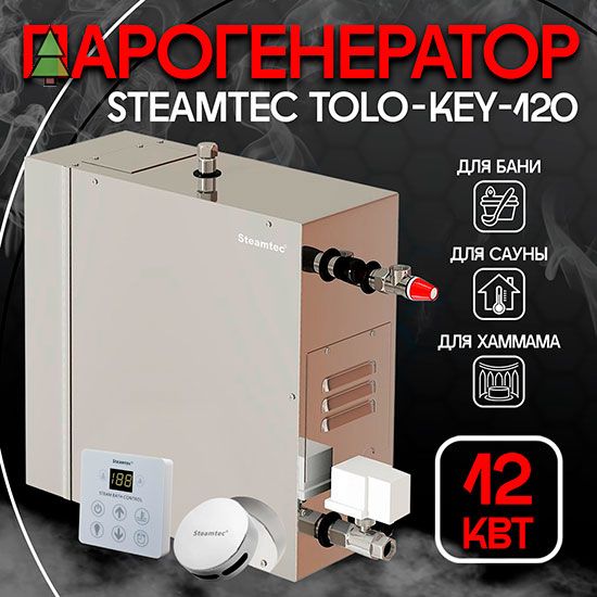 Парогенератор для хамама Steamtec TOLO KEY 120 - 12 кВт, стандартный модуль управления