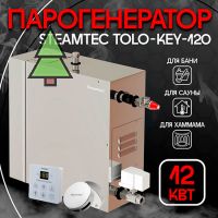 Парогенератор для хамама Steamtec TOLO KEY 120 - 12 кВт, стандартный модуль управления