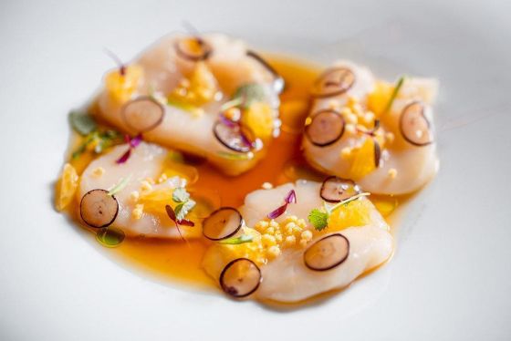 СЕВИЧЕ ИЗ ГРЕБЕШКА С МАНГО