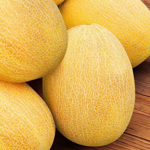 Дыня ДЮНА, 25г семян