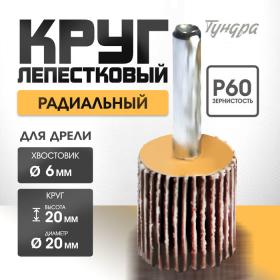 Круг лепестковый радиальный ТУНДРА, 20 х 20 х 6 мм, Р60