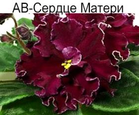 АВ-Сердце Матери