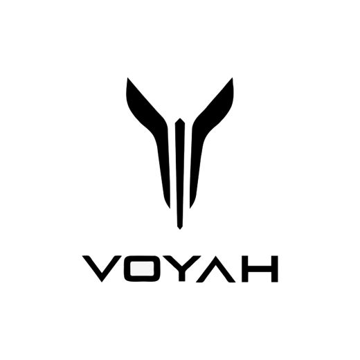 БЛОК НЕПРЕРЫВНОЙ ЗАРЯДКИ VOYAH DREAM/FREE/PASSION 362913006 100% ОРИГИНАЛ