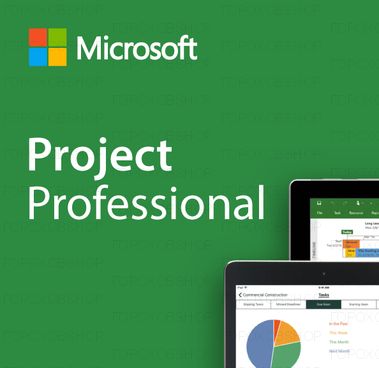 Project 2024 Pro для Windows bind 1ПК (ключ активации)