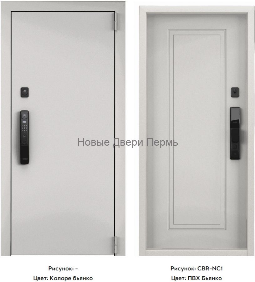 CYBER PRO MP Колоре бьянко / ПВХ Бьянко входная дверь