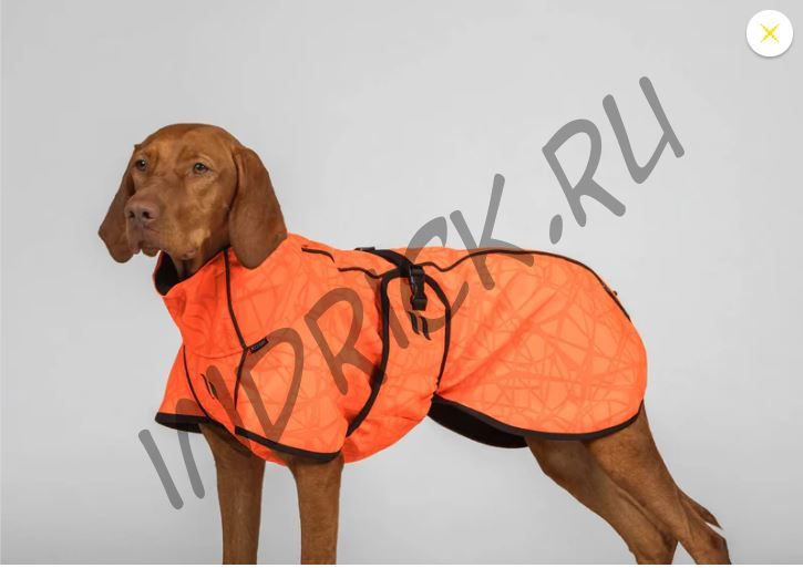 Непромокаемая дышащая попона для собак Bark Back on Track на флисе сигнальный оранжевый