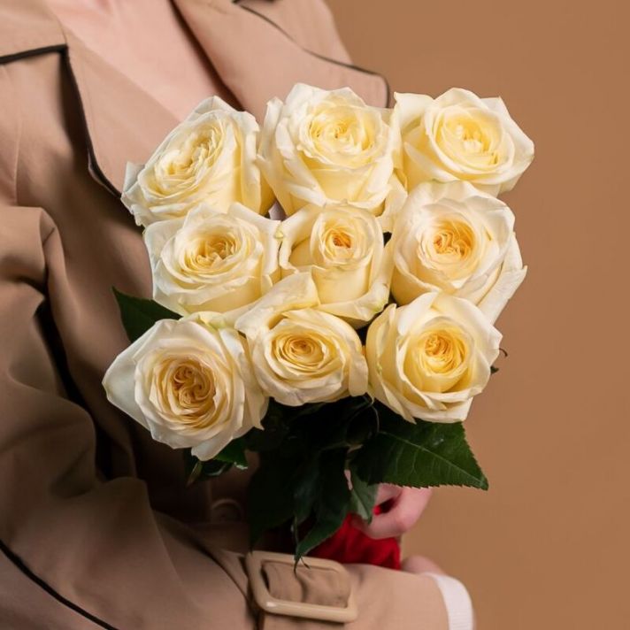 Кремовая премиум роза от 9 шт (60 см, Эквадор)
