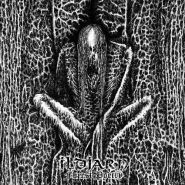 ILDJARN - Forest Poetry