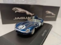 Jaguar D Type (ATLAS) 1/43