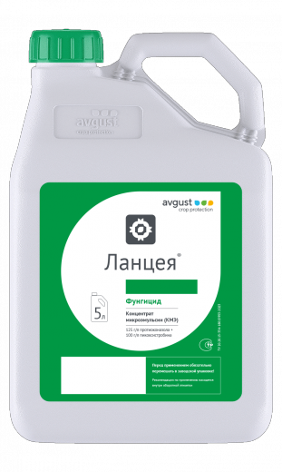 Ланцея, КМЭ
