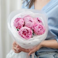 5 пионов (сорт Сара Бернард)