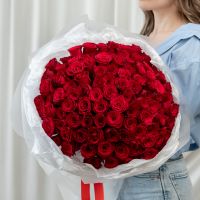 101 красная роза (сорт Кения)