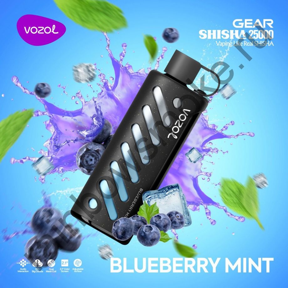 ЭС Vozol Gear Power 25000 - Blueberry Mint (Черника Мята)