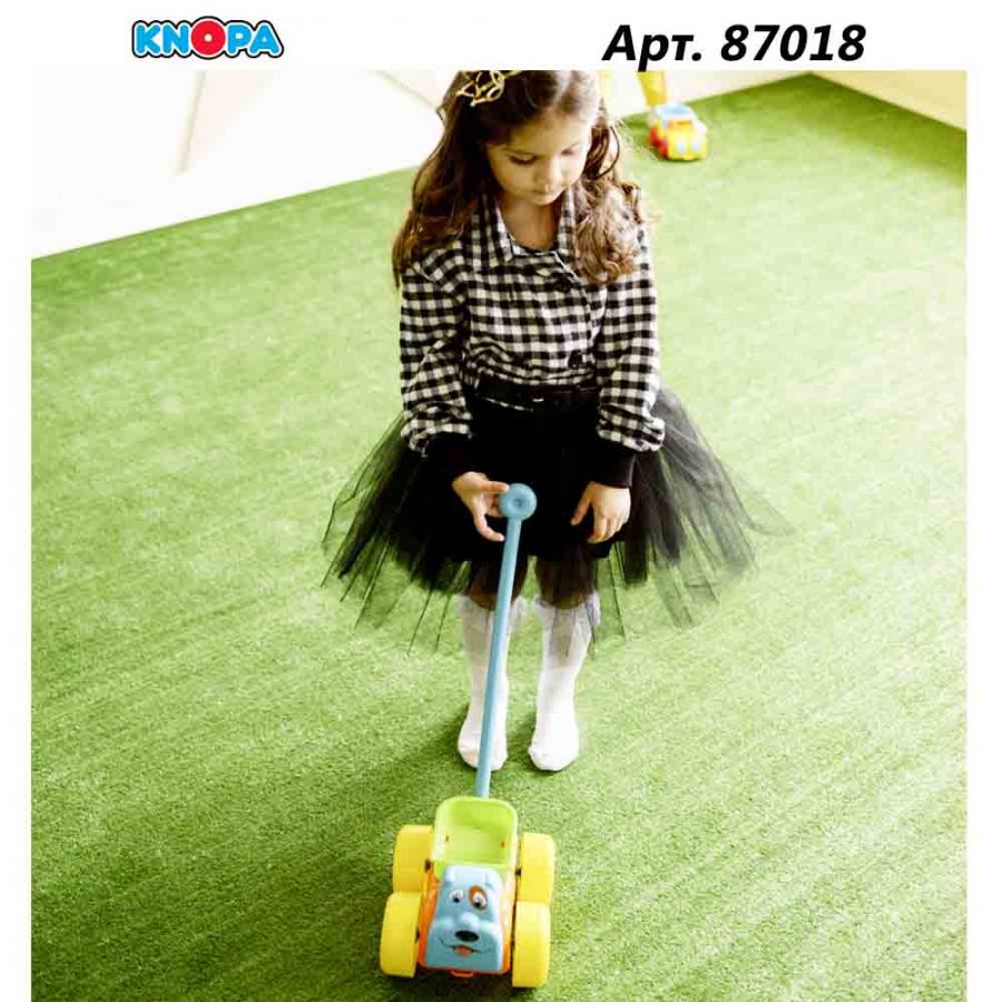 Каталка Буч 22 см КНОПА