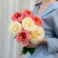 7 пионовидных роз микс