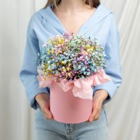 Коробка S гипсофила радужная