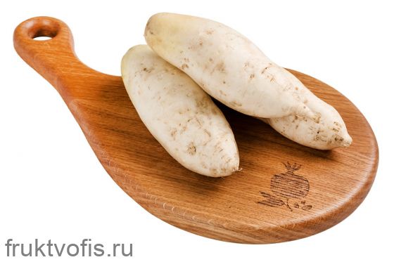 _Редис дайкон