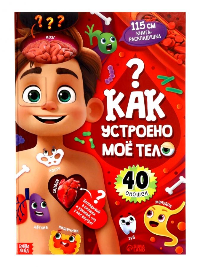 Книга - раскладушка детская «Как устроено моё тело», 40 окошек