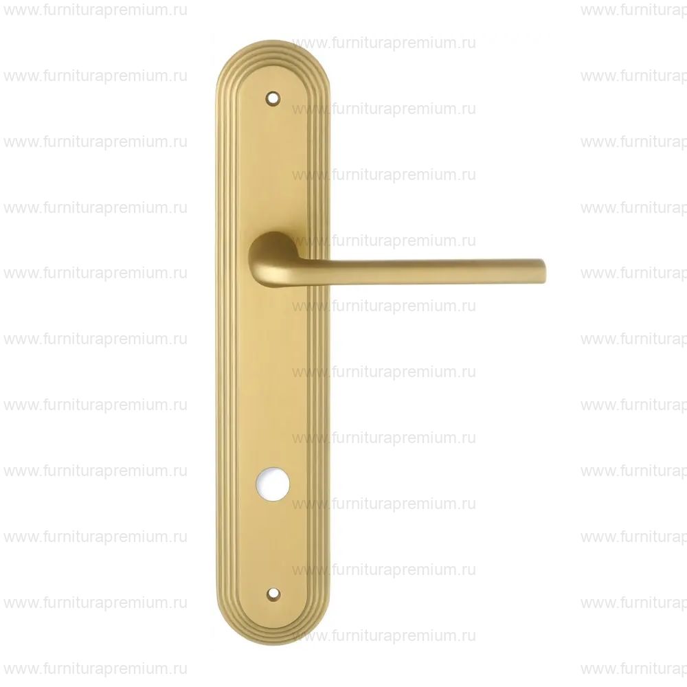 Ручка на планке Extreza Terni 320 WC PL05