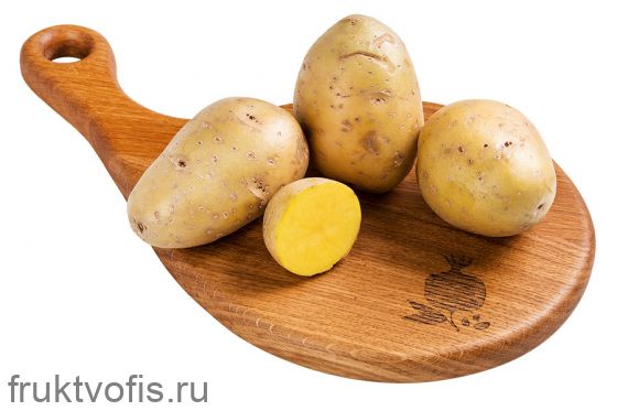 Картофель мытый белый Картофель мытый белый