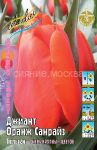 Tyulpan-Dzhiant-Oranzh-Sanrajz-Giant-Orange-Sunrise-14-16-1-sht