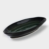 Блюдо для рыбы фарфоровое Verde notte, 11,5?28 см