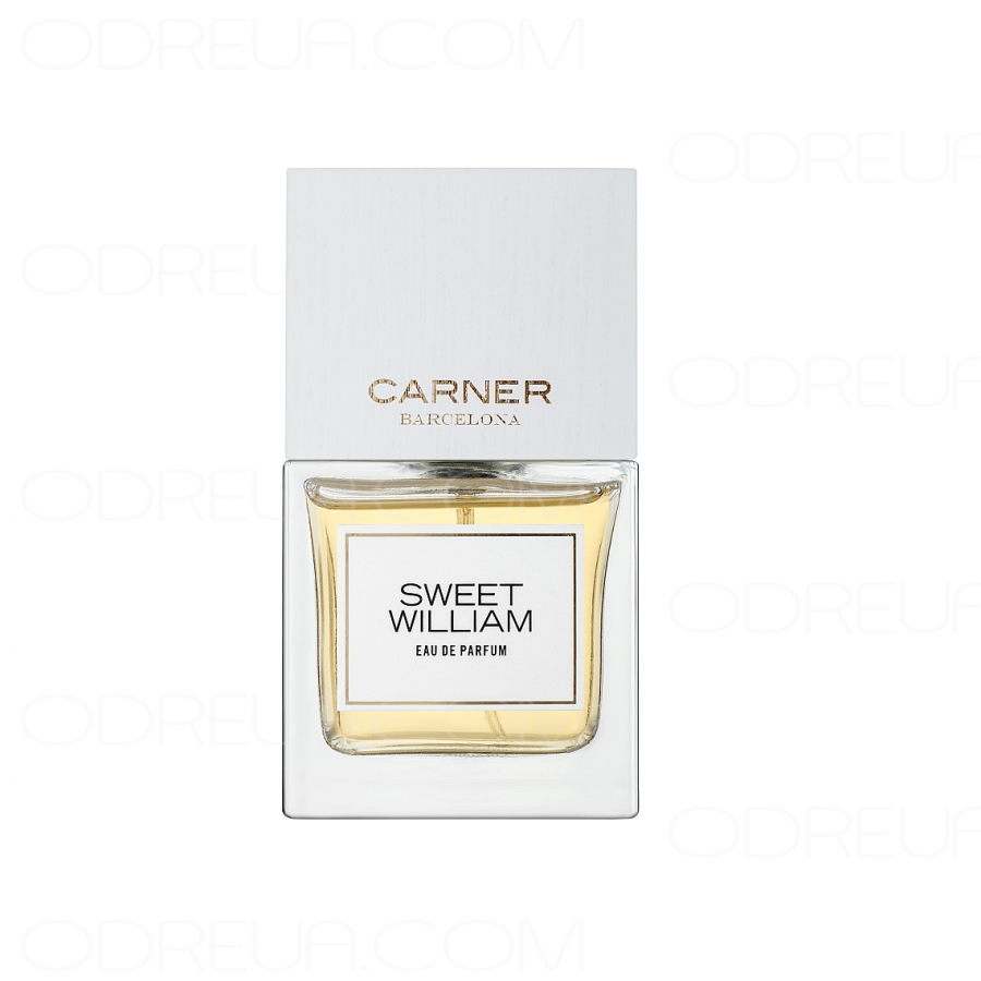Carner Barcelona Sweet William