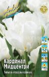 Tyulpan-Kardinal-Midcentri-Cardinal-Mindszenty-mahrovyj-rannij-11-12-1-sht