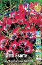 Tyulpan-Littl-Byuti-botanicheskij-6-7-1-sht