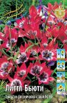 Tyulpan-Littl-Byuti-botanicheskij-6-7-1-sht