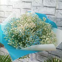Букет из 7 цветных гипсофил