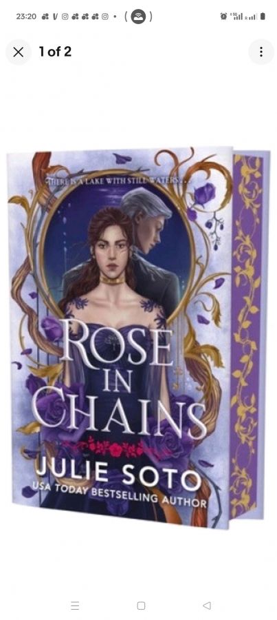 Rose in chains