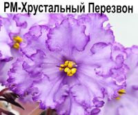 РМ-Хрустальный Перезвон