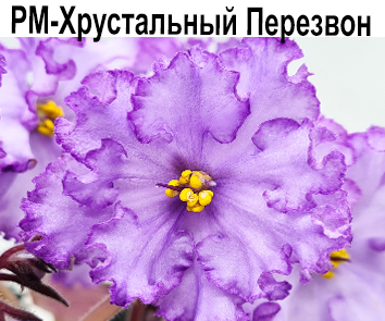 РМ-Хрустальный Перезвон (Н.Скорнякова)