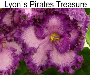 Lyon's Pirate's Treasure (S.Sorano)
