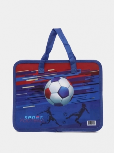 Папка школьная 049029