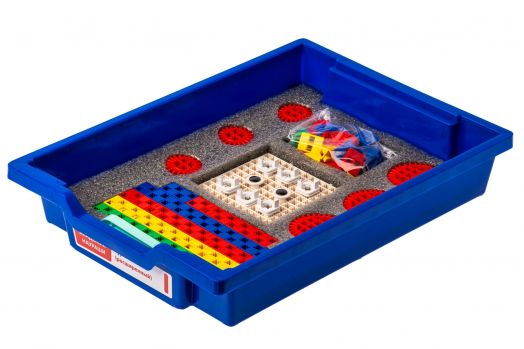 Академия Наураши «Курс логики расширенный»