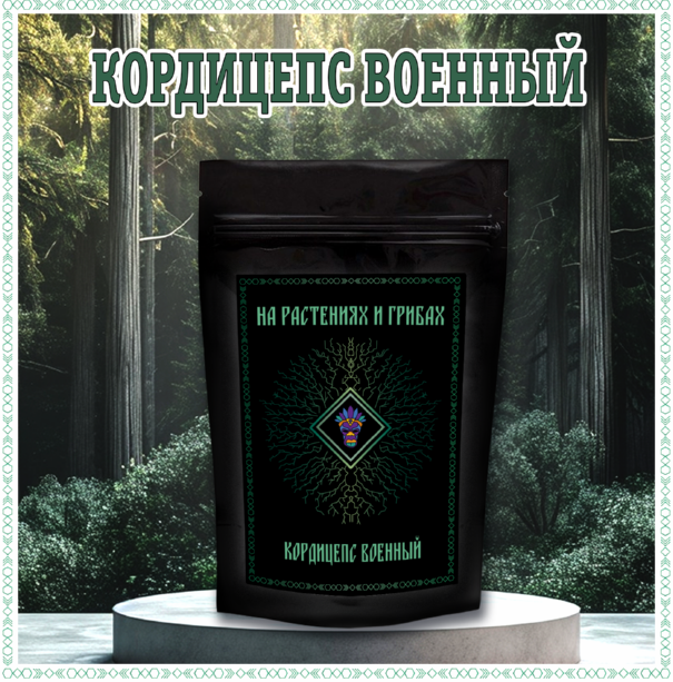 Кордицепс Военный порошок мицелия