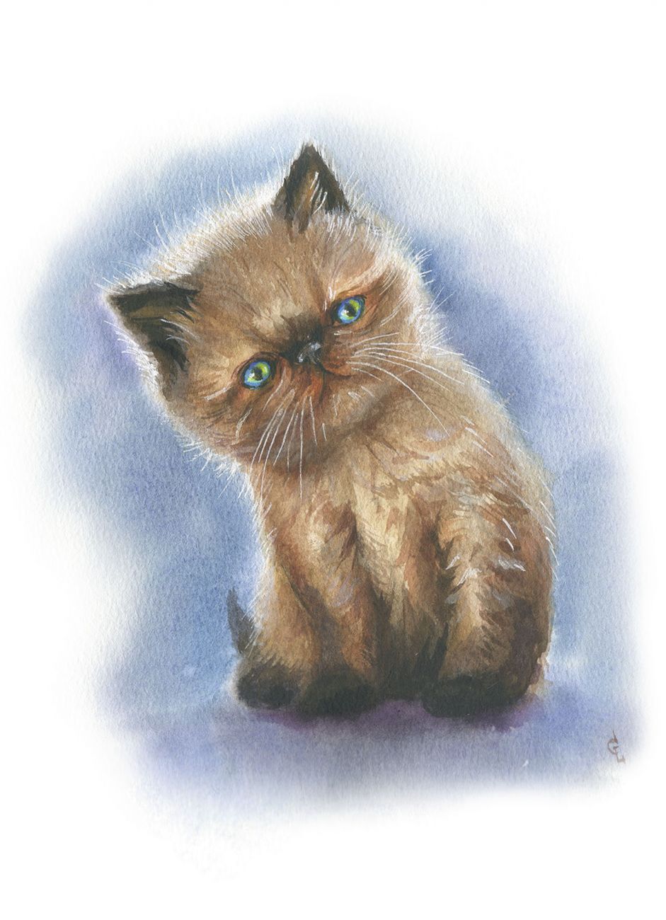 Кошачьи истории 9