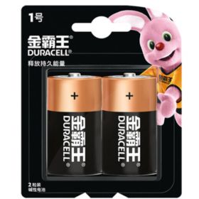 батарейка Duracell LR20 BASIC CN (иерогл) 2/24