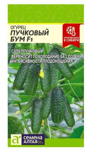 Огурец Пучковый Бум F1