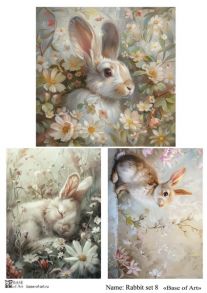 Rabbit set 8