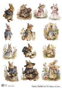 Rabbit set 10