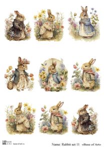 Rabbit set 11