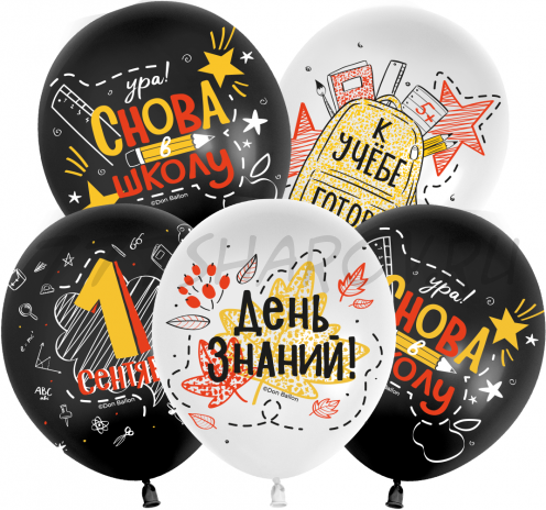ШАР  "СНОВА В ШКОЛУ"  1 ШТ., 30 СМ.   С ГЕЛИЕМ.
