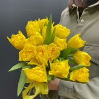 Букет из желтых пионовидных тюльпанов