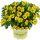 КАЛИБРАХОА CALIPETITE YELLOW