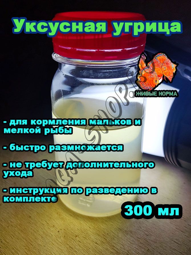 Уксусная угрица - стартовая культура